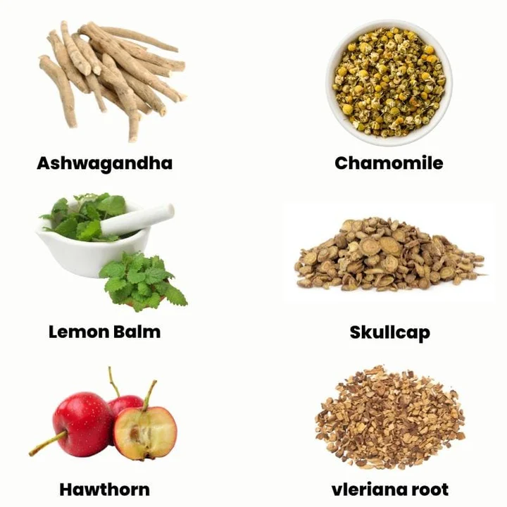 Relax Moment - Stress Support - Image 5